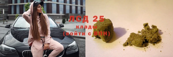 прущие крисы Абаза