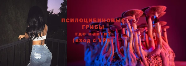 прущие крисы Абаза