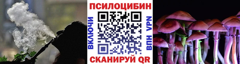 как найти закладки  Урус-Мартан  Галлюциногенные грибы Psilocybe 