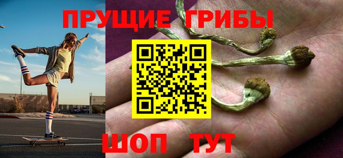 Урус-Мартан  Галлюциногенные грибы мицелий  Псилоцибиновые грибы мицелий  Вход с VPN 